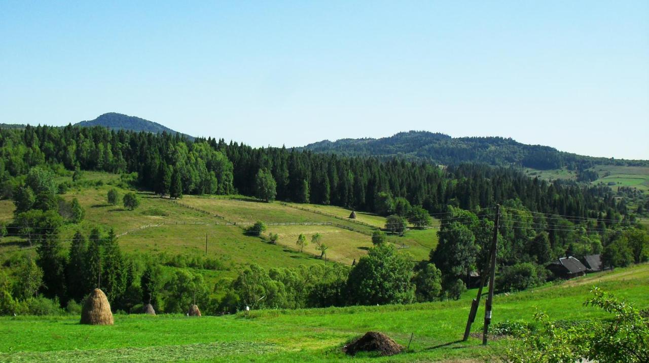 Ferienwohnung Полонянка Bukovinka Exterior foto